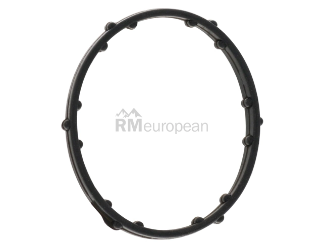 VW-Audi Thermostat Gasket Victor Reinz 06E121119G