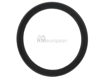 Jaguar Coolant Pipe O-Ring Genuine Jaguar C2Z28262