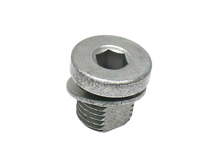 VW-Audi Bleeder Screw Genuine VW/Audi N90534203