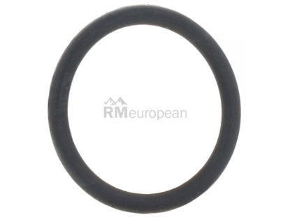 BMW O-Ring Elring Klinger 11417527092