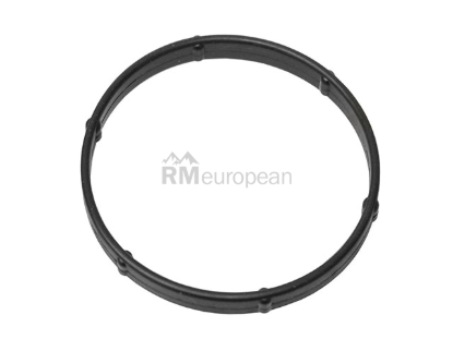 Jaguar Thermostat Seal Eurospare NCA2269CA