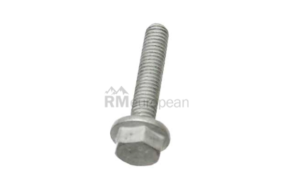 Porsche Water Pump Bolt Genuine Porsche 90037817701