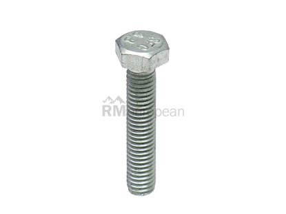 Hex Head Bolt Auveco 14405
