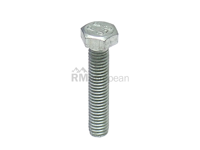 Hex Head Bolt Auveco 14405