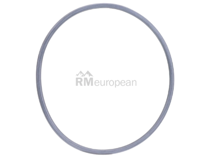 Porsche O-Ring Getrag 0A2311091A