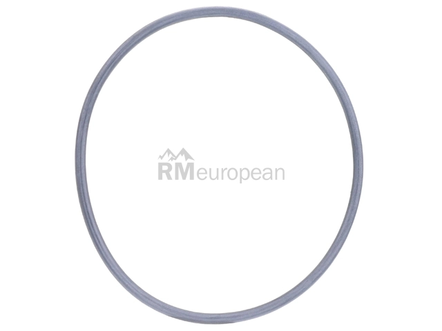 Porsche O-Ring Getrag 0A2311091A