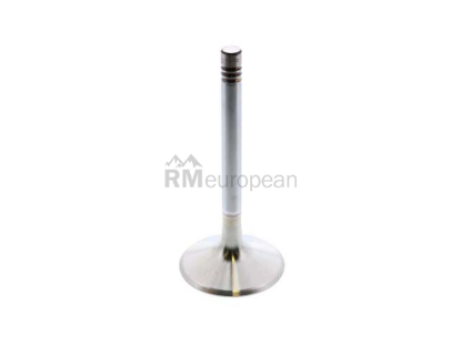 Porsche Intake Valve TRW 96410540908