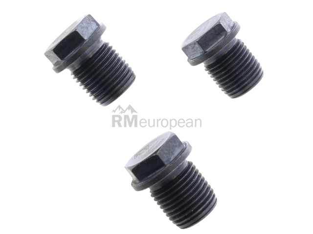 Engine Oil Drain Plug AGA 555560020