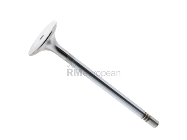 Mercedes Intake Valve TRW 6420530401