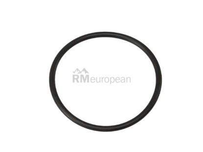 VW-Audi Coolant Flange Seal Victor Reinz 037121688