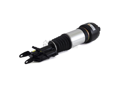 Mercedes Shock Absorber Arnott Industries 2113205638