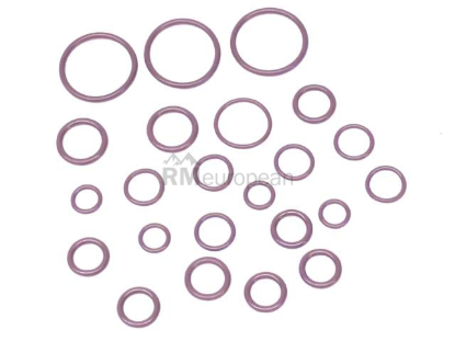Porsche A/C O-Ring Kit Santech 107598114