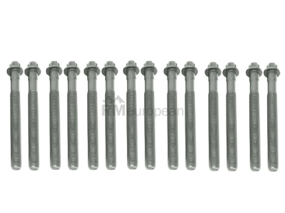 BMW Cylinder Head Bolt Set Victor Reinz 11121740065