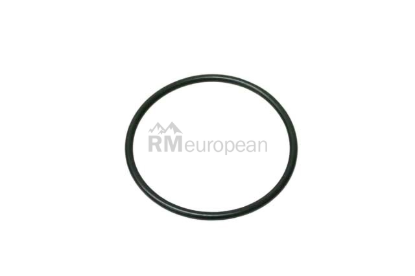 Throttle Housing O-Ring VDO N90521604
