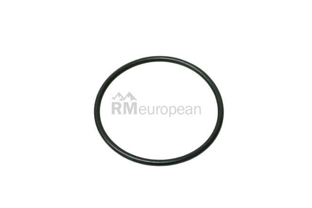 Throttle Housing O-Ring VDO N90521604