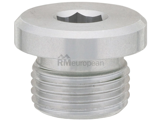 BMW Transmission Fill Plug Getrag 28107850241