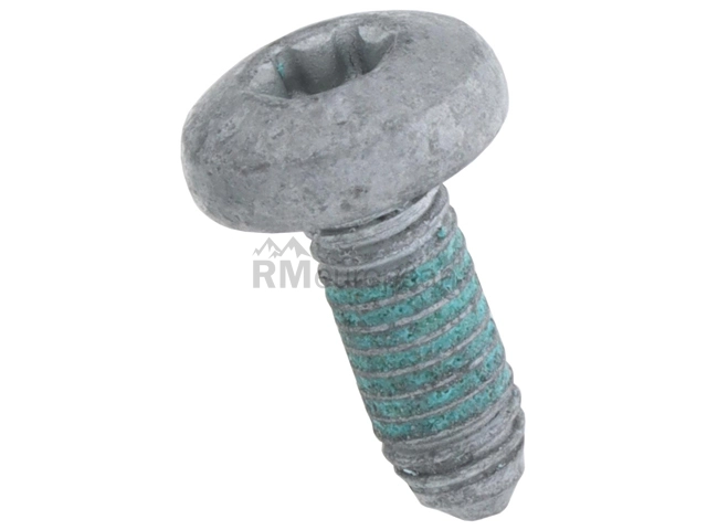 VW-Audi Timing Cover Bolt Genuine VW/Audi N91096705