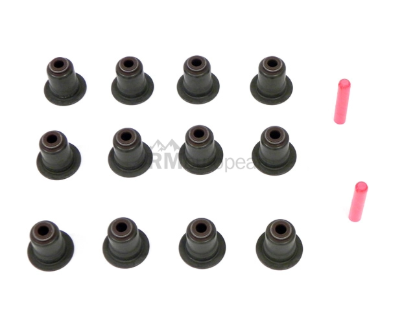 Valve Stem Seal Kit Corteco 11340035853