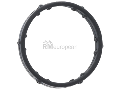VW-Audi Coolant Pipe O-Ring Elring Klinger 06E121119A