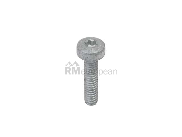 VW-Audi Water Pump Bolt Genuine VW/Audi N10700202