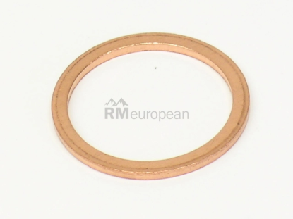 Oil Drain Plug Seal Fischer & Plath 1006549