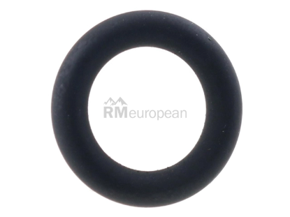 BMW O-Ring Elring Klinger 13531417569