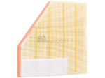 BMW Air Filter Hengst 13718632502