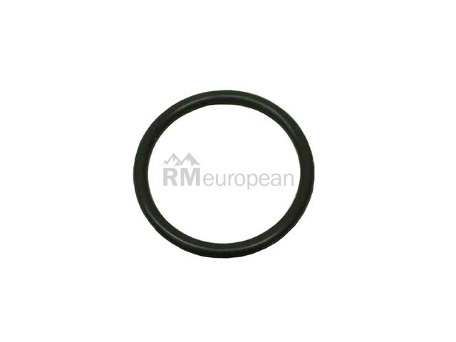 Oil Pick-Up Tube O-Ring Victor Reinz 407653200