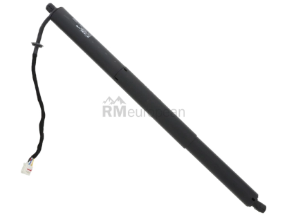 Hatch Shock Stabilus 432617