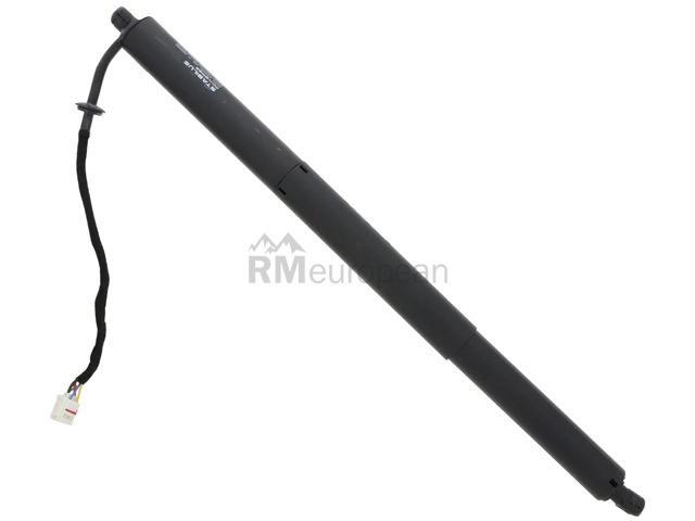 Hatch Shock Stabilus 432617