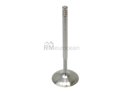 BMW Intake Valve Intervalves 11347503737