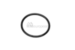 Porsche O-Ring German 95532544300