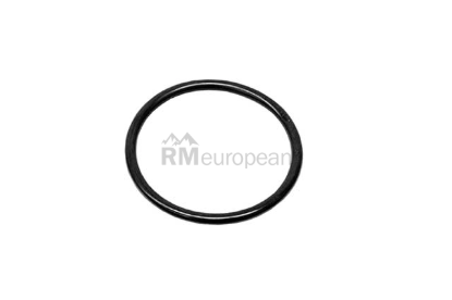 Porsche O-Ring German 95532544300