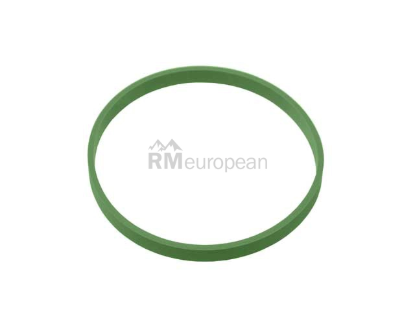 Mini Intake Manifold Gasket Elring Klinger 11617528174