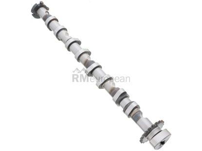 VW-Audi Camshaft AMC 06F109101J