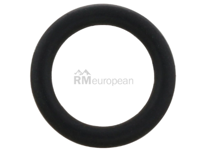 VW-Audi O-Ring Victor Reinz WHT007689