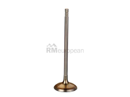 BMW Intake Valve Intervalves 11347553771