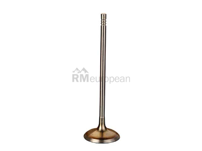 BMW Intake Valve Intervalves 11347553771