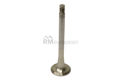 VW-Audi Exhaust Valve TRW 025109612A