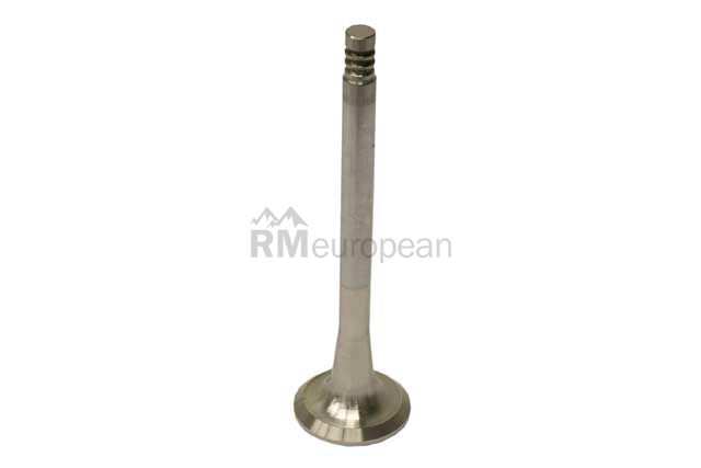 VW-Audi Exhaust Valve TRW 025109612A