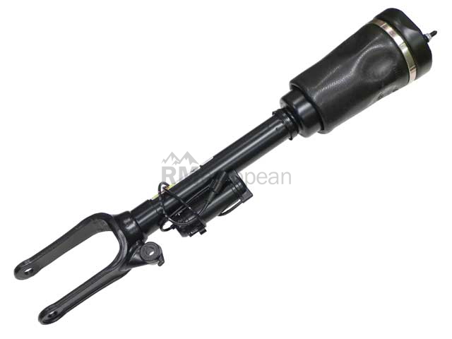 Mercedes Shock Absorber Arnott Industries 1643205913