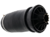 Mercedes Air Suspension Spring Corteco 2923200525
