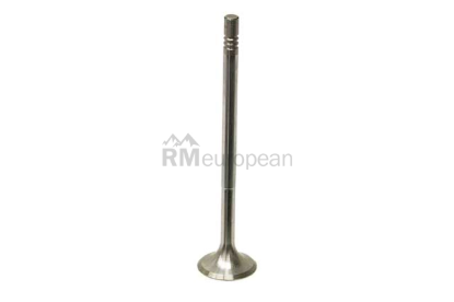 Mercedes Exhaust Valve Intervalves 6510500127