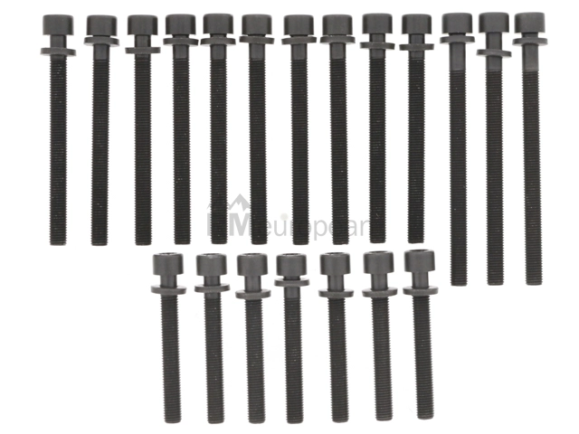 VW-Audi Cylinder Head Bolt Set Victor Reinz 211030100