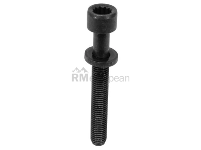VW-Audi Cylinder Head Bolt Victor Reinz 021103384K