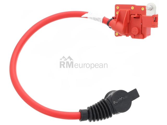 BMW Battery Cable Bapmic 61129217036