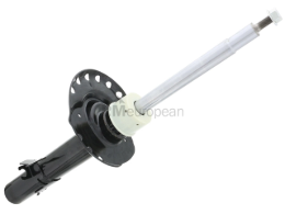 Land Rover Shock Absorber BWI LR031667