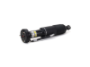 Mercedes Shock Absorber Arnott Industries 230320441388