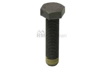 BMW Flywheel Bolt O.E.M. 11222243051