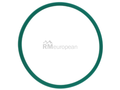 VW-Audi Throttle Housing Gasket Ajusa 06E145272C